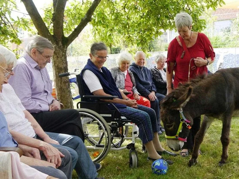 Seniorenservice - Gesundheitszentrum Landhaus Pantförder